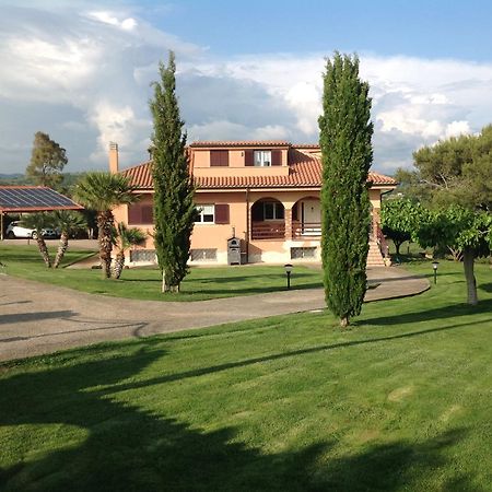 Bed & Breakfast La Volpe E L'Uva サンタ・マリネッラ エクステリア 写真
